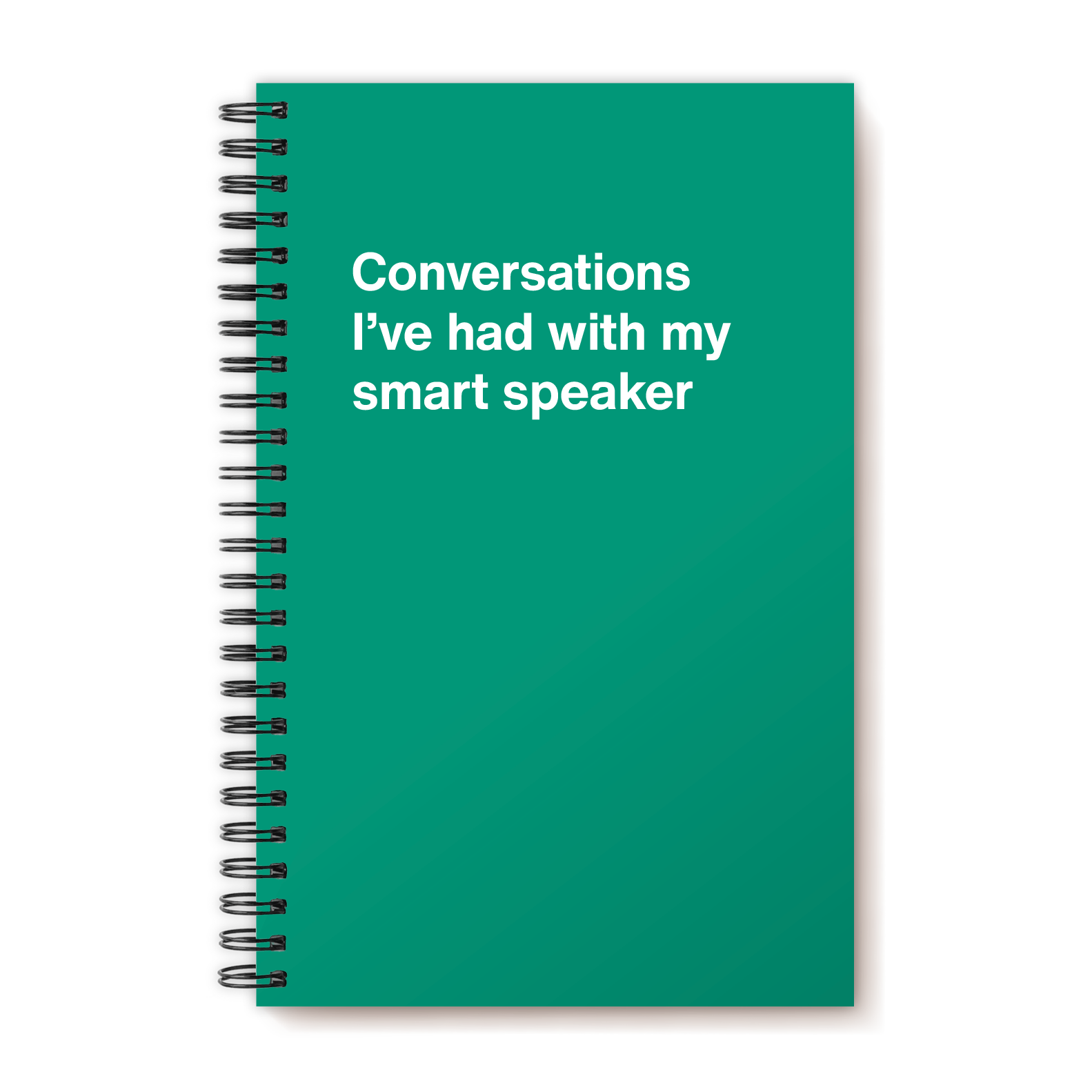 Conversations I’ve had with my smart speaker | WTF Notebooks