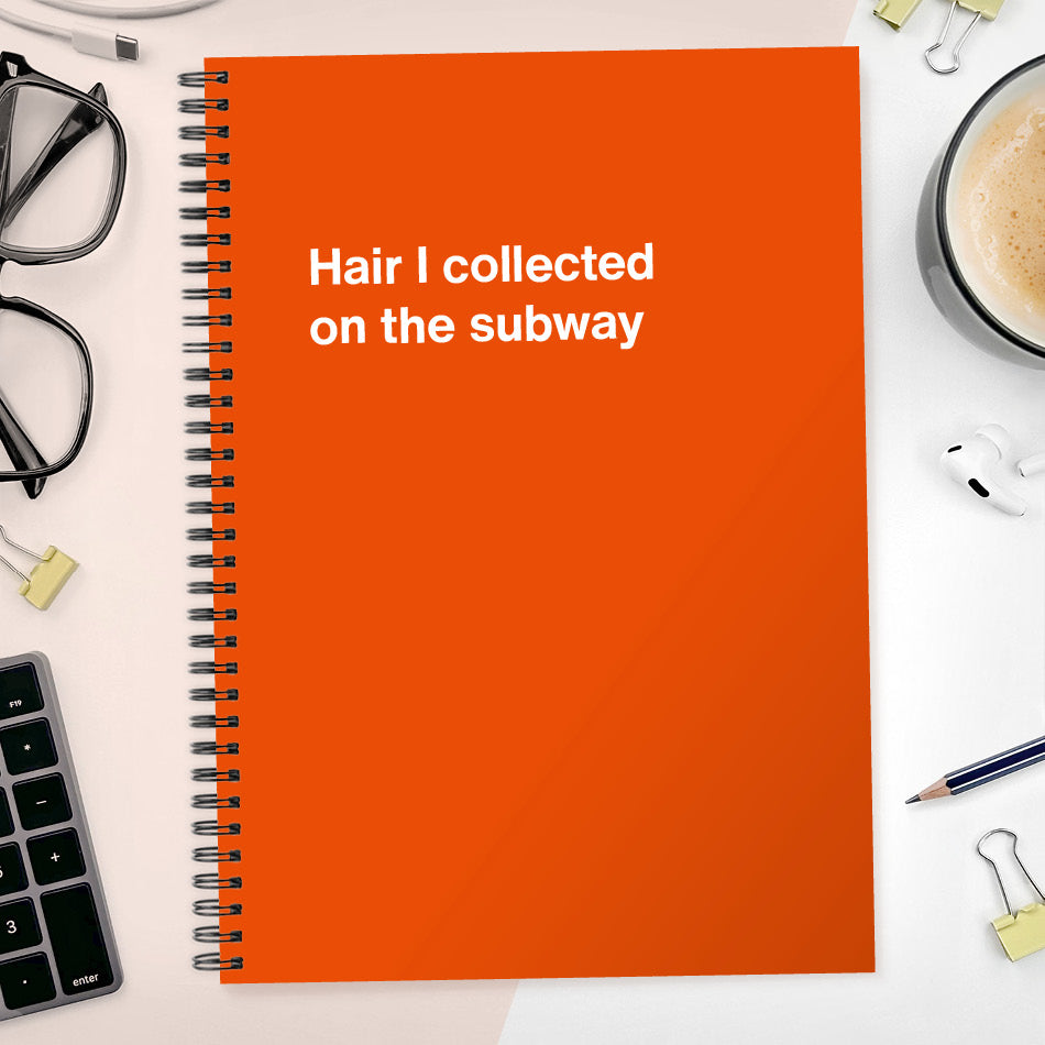 
                  
                    Hair I collected on the subway | WTF Notebooks
                  
                