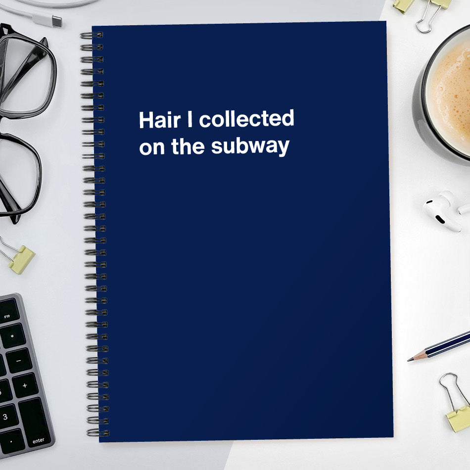 Hair I collected on the subway | WTF Notebooks