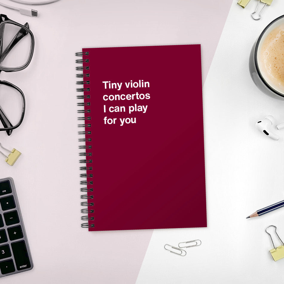 Tiny violin concertos I can play for you | WTF Notebooks