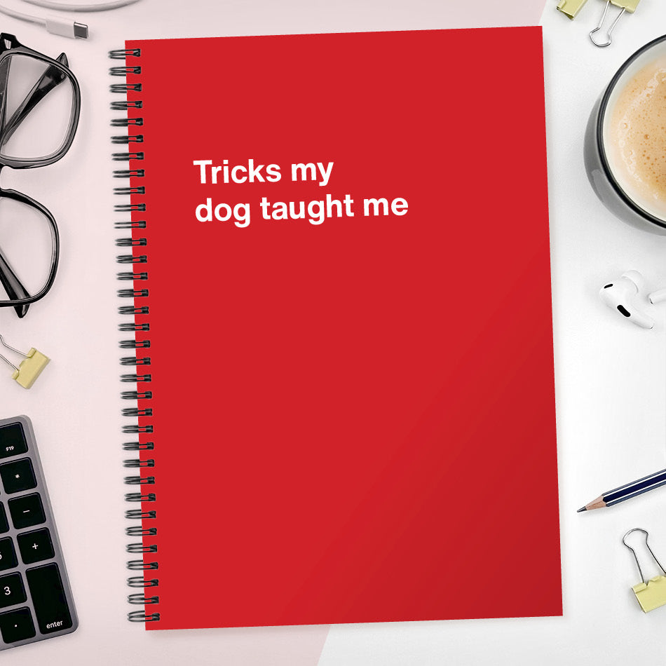 
                  
                    Tricks my dog taught me | WTF Notebooks
                  
                
