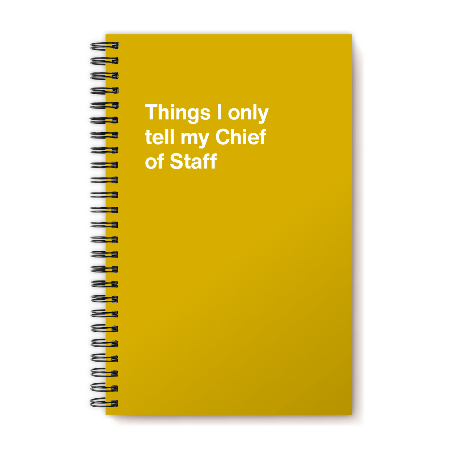 
                  
                    Things I only tell my Chief of Staff | WTF Notebooks
                  
                