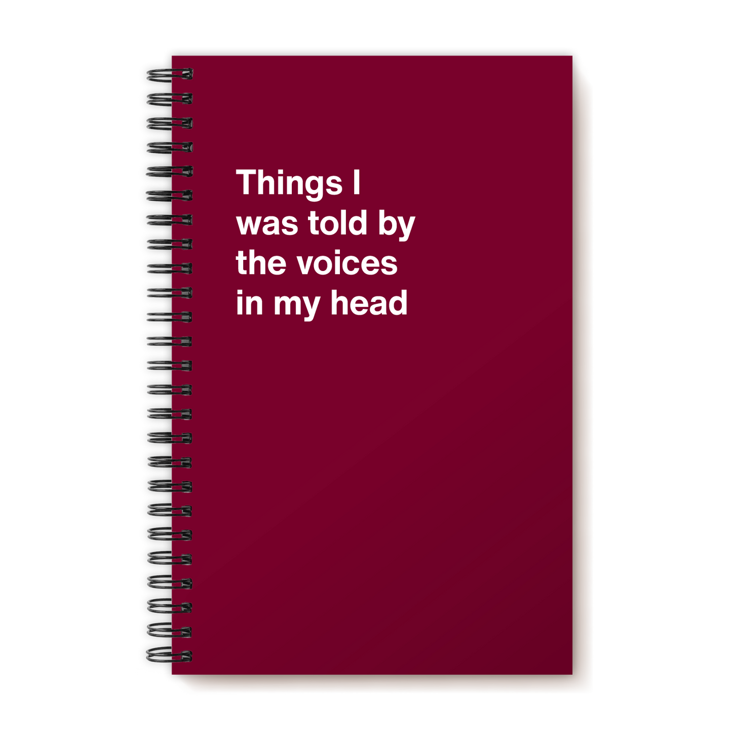 Things I was told by the voices in my head | WTF Notebooks
